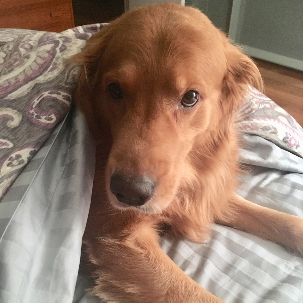 Meet your Posher, Courtney